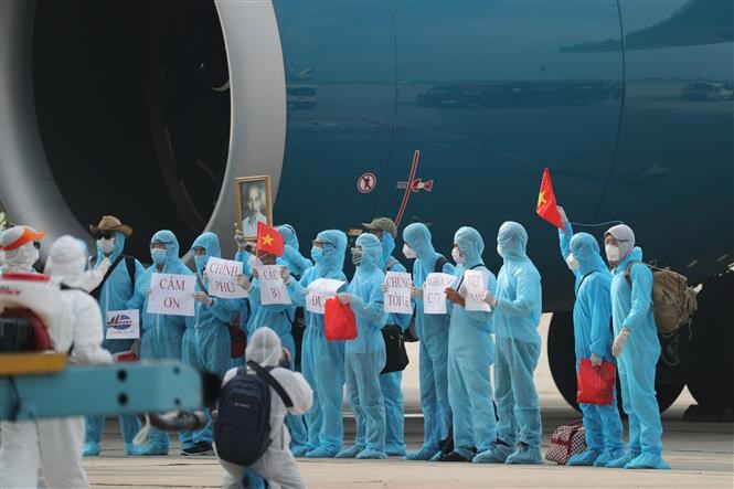 Vietnamese citizens from Equatorial Guinea express their sincere thanks to the Party and State for bringing them home.