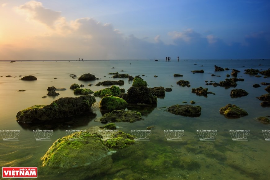 The green seaweed field covers more than two kilometers on the beach.