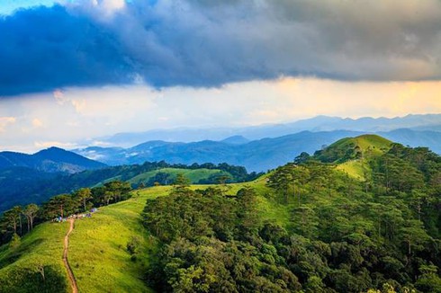 Ta Nang - Phan Dung is one of the most scenic trekking routes in Vietnam. (Photo: baolamdong.vn) 