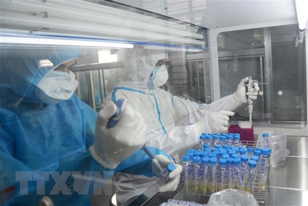 Health workers of the Centre for Disease Control of Da Nang city test samples (Photo: VNA)