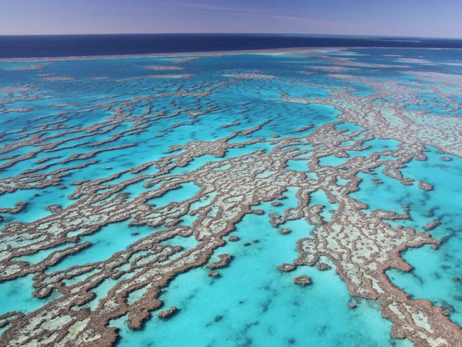 The Great Barrier Reef in Australia is widely considered to be one of the most prestigious underwater ecosystems globally. Home to approximately 1,500 species of fish and 400 different types of mollusca, the area is beautiful to see both from above and below.