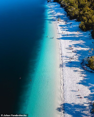 A white sand beach around Lake Mckenzie on Fraser island in Queensland, Australia