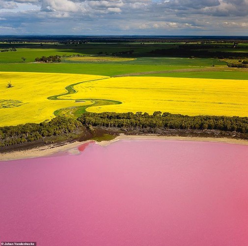 A closer look at a unique pink lake in Southern Australia