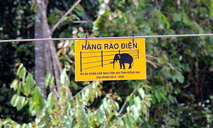 An electric fence separates elephants from fields in Dong Nai Province. Photo by VnExpress/Phuoc Tuan.