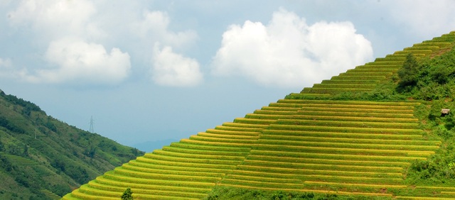 The terraced fields in these areas have been recognised as the national heritage by the Ministry of Culture, Sports and Tourism.