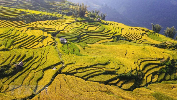 Rice terraces valley in A Lu is a sight not to miss when visitors come to Y Ty.