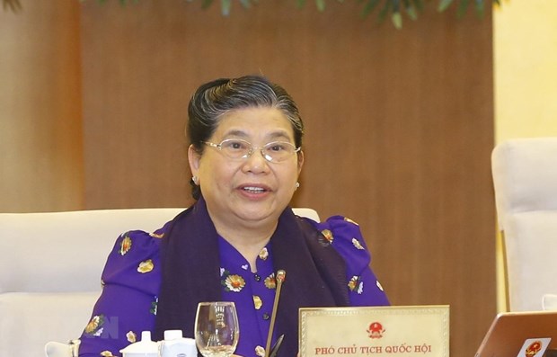 NA Vice Chairwoman Tong Thi Phong speaks at the session