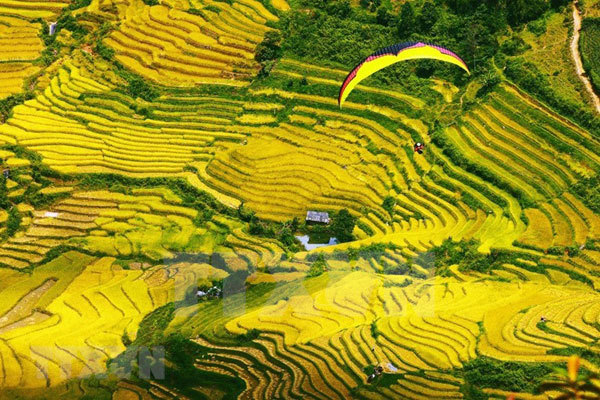 Visitors find it fascinating to take an exhilarating ride on paragliders to enjoy the stunning views of Mu Cang Chai District, Yen Bai Province.