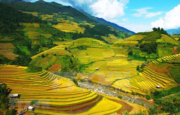 Mu Cang Chai terraced fields have long been well-known and considered a must-visit place for tourists to the northwestern region of Vietnam. These are the terraced fields on mountain slopes, which cover an area of about 2,200 hectares in the three communes of La Pan Tan, Che Cu Nha and De Xu Phinh in Mu Cang Chai District.