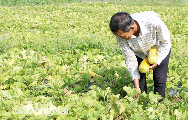 Hơn 1,8 ngàn tỷ đồng vốn huy động xây dựng nông thôn mới nâng cao