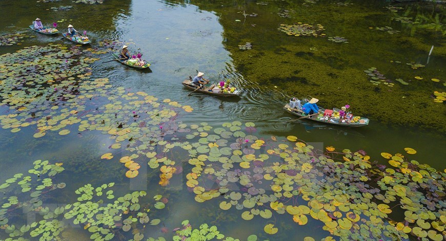 Tourists on river cruise may contemplate the beauty of an aquatic ecosystem in crystal clear water.