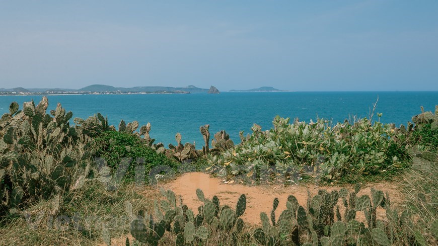 The beach in Bai Xep is only 500m long, but it has unique natural landscapes with golden sand shimmering along pristine rocky bluffs, huge black rock tips protruding to the sea and meadows and casuarina forests stretching far and wide.