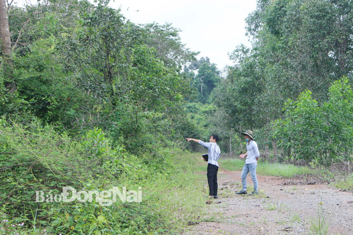 3.	Cán bộ phòng Bảo tồn thiên nhiên và hợp tác, Khu Bảo tồn thiên nhiên - văn hóa Đồng Nai đi quan sát âm thanh tiếng chim