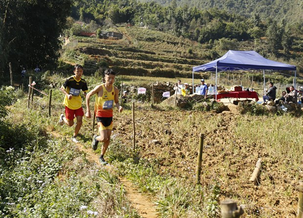Domestic runners triumph at Vietnam Mountain Marathon 2020