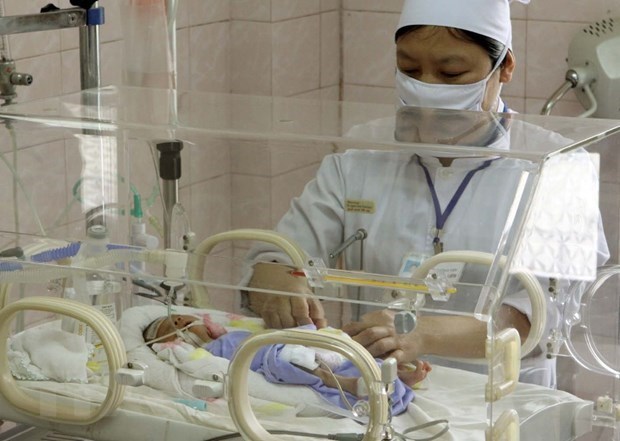 A medical worker cares for a newborn baby (Photo: VNA)