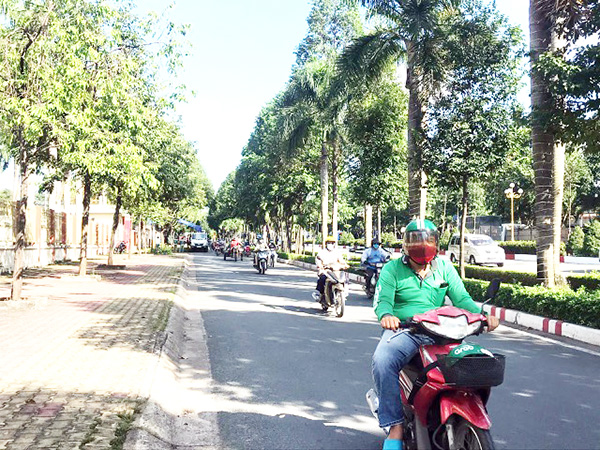 Việc trồng nhiều cây xanh trong đô thị giúp chống tiếng ồn trong hoạt động giao thông và lọc không khí rất tốt. Trong ảnh: Cây xanh trên đường Nguyễn Ái Quốc, P.Quang Vinh (TP.Biên Hòa). Ảnh: P.Liễu