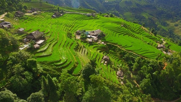 In Xa Phin village (Photo: tienphong.vn)