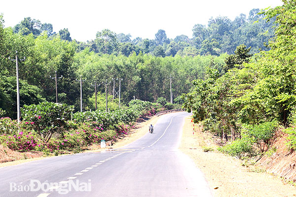 Huyện Vĩnh Cửu đang mời gọi doanh nghiệp đầu tư phát triển du lịch sinh thái rừng