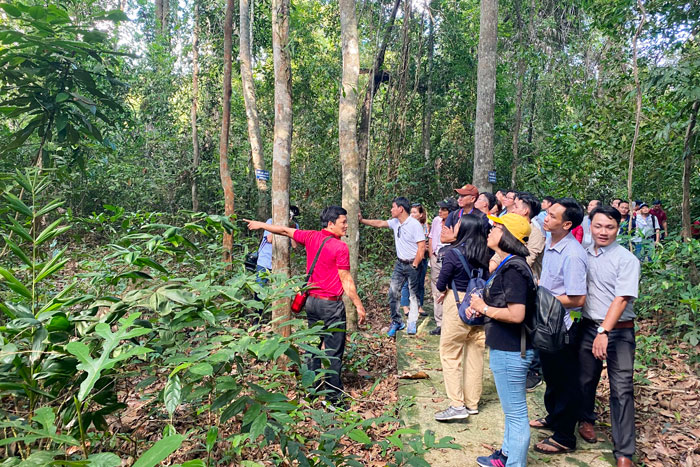 Chế tài để hoạt động du lịch chuyên nghiệp hơn