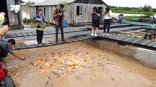 Tourists at a floating fishing farm in the Mekong Delta city of Can Tho. (Photo: VNA)