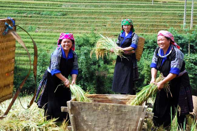 Gov't to issue new benchmark for multidimensional poverty