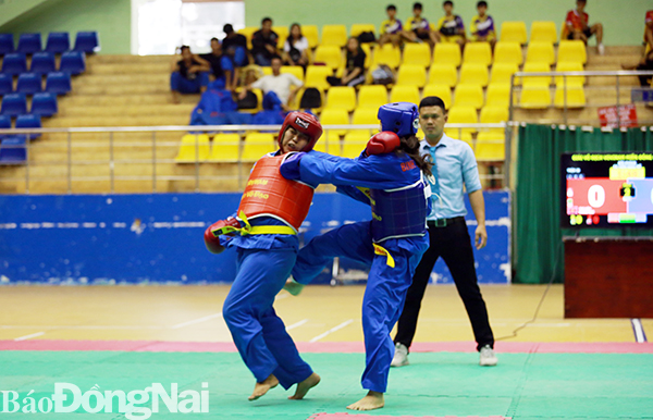 Dong Nai wins Southeastern Region Vovinam Tournament