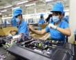 Gov't continues legal assistance to SMEs