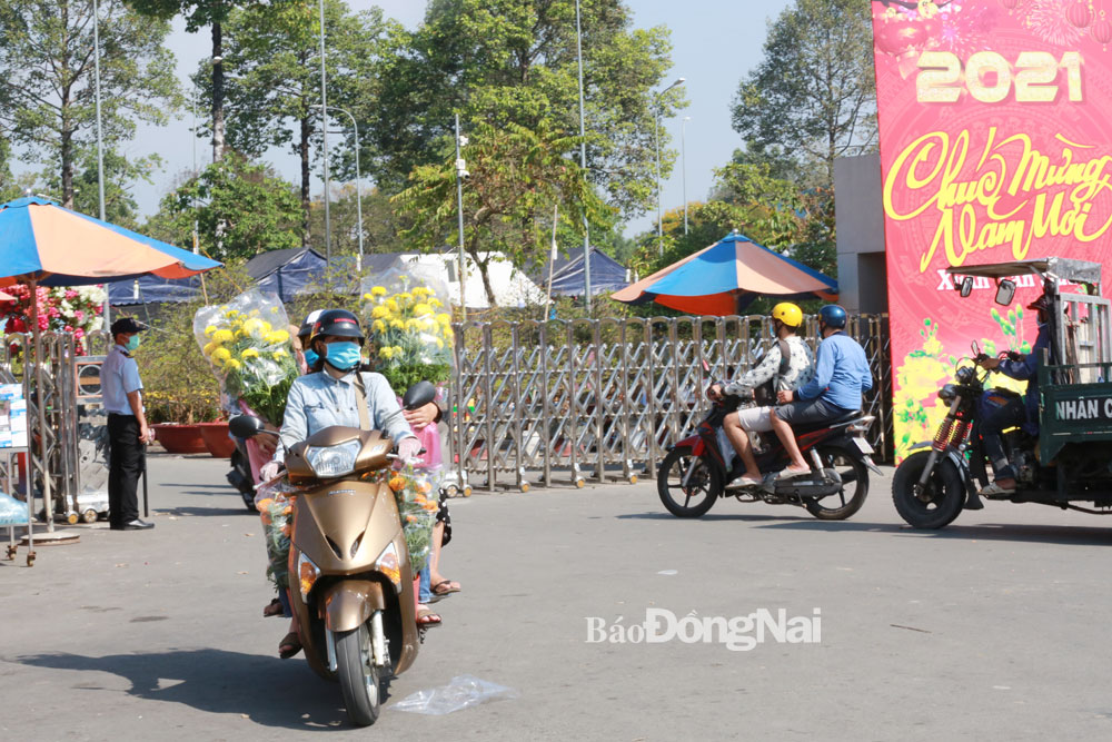 Người dân mua hoa, trái cây chưng Tết