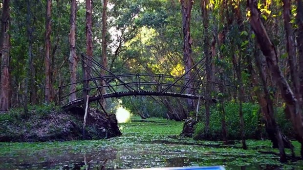 The Tra Su cajeput forest covers over 800 hectares in Tinh Bien district, the Mekong Delta province of An Giang, just 150km from Ho Chi Minh City. (Photo: VNA)