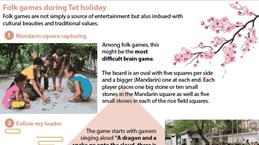 Folk games during Tet holiday