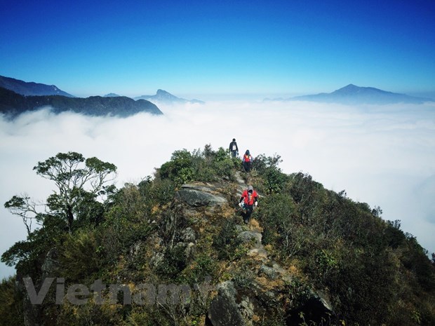 Bach Moc Luong Tu peak (Photo: VNA)