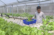 Hi-tech agriculture proves effective in Dong Nai