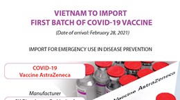 Vietnam to import first batch of Covid-19 vaccine