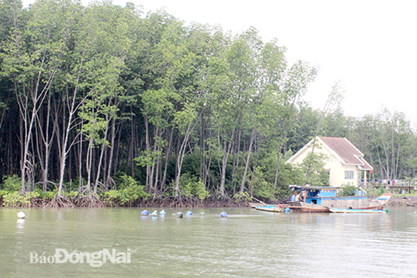 Dong Nai boasts nearly 171,300 ha of forest
