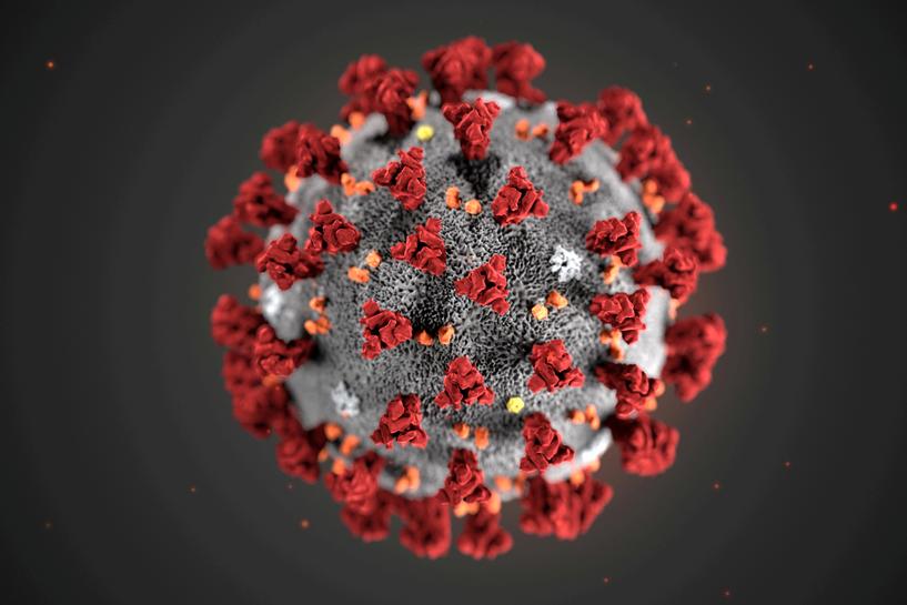 FILE PHOTO: The ultrastructural morphology exhibited by the 2019 Novel Coronavirus (2019-nCoV), is seen in an illustration released by the Centers for Disease Control and Prevention (CDC) in Atlanta, Georgia, U.S. January 29, 2020. Alissa Eckert, MS; Dan Higgins,