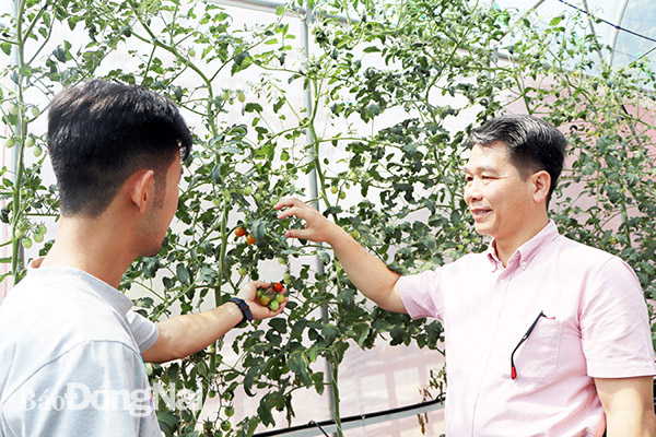 Ông Hà Duy Bình giới thiệu mô hình thí điểm ứng dụng công nghệ cao Israel trồng cây trong nhà màng tại Công ty CP Công nghệ giáo dục 3A