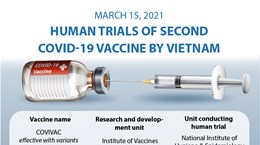 Human trials of second COVID-19 vaccine by Vietnam