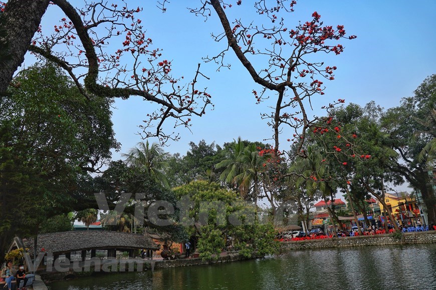 Red silk-cotton flowers are in full bloom at Thay Pagoda. Located at the foot of Sai Son Mountain, Thay Pagoda lies in a tranquil and beautiful village, which is only around 40km west of Hanoi.