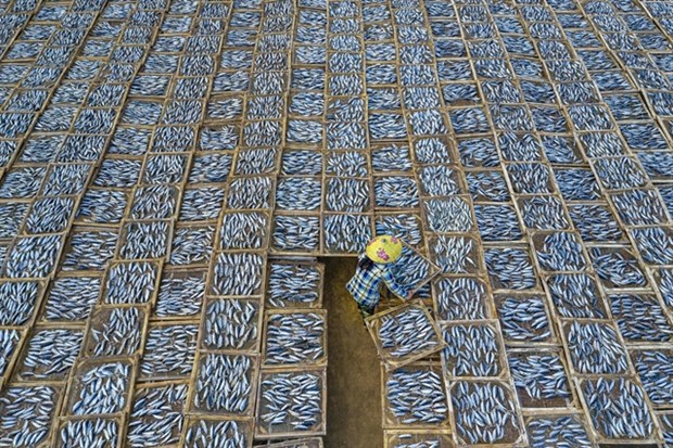 Drying Fish by Vietnamese photographer Khanh Phan (Photo by Khanh Phan via Sony World Photography Awards)