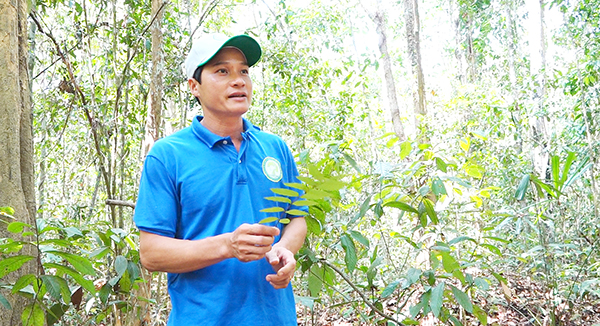 Anh Nguyễn Hồng Công giới thiệu một số loài cây rừng 