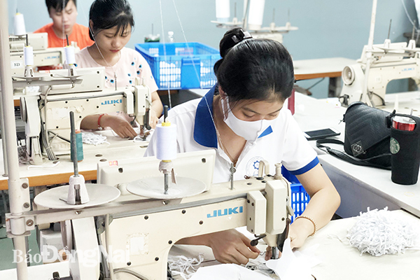Đào tạo nghề may công nghiệp tại Trường cao đẳng Kỹ thuật Đồng Nai đang thu hút đông học viên. Ảnh: Đ.CÔNG