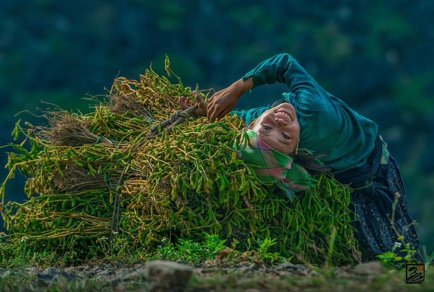 “Soybean here” work by Tran Cao Bao Long