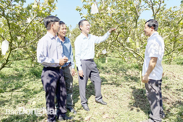 Nhân rộng hiệu quả quỹ hỗ trợ nông dân