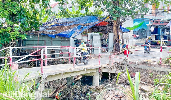 Người dân sống dọc suối Bà Lúa, một trong những điểm lụt nặng nhất ở P.Long Bình Tân (TP.Biên Hòa) lo lắng khi mùa mưa được dự báo sẽ đến sớm nhưng công trình chống ngập vẫn chưa được khởi công. Ảnh: M.Thành