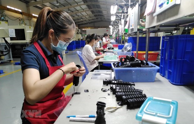 Workers at a company in Dong Nai.