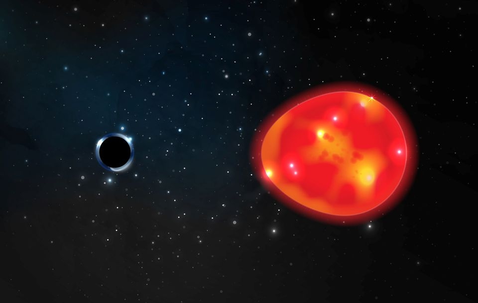 A black hole located approximately 1,500 light years from our solar system, discovered in the constellation Monoceros, pulls at a nearby red giant star, distorting its light in an undated illustration.