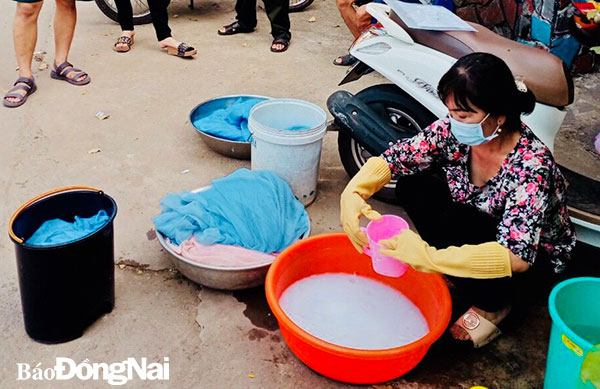 Đồng Nai tiến tới loại trừ bệnh sốt rét vào năm 2023