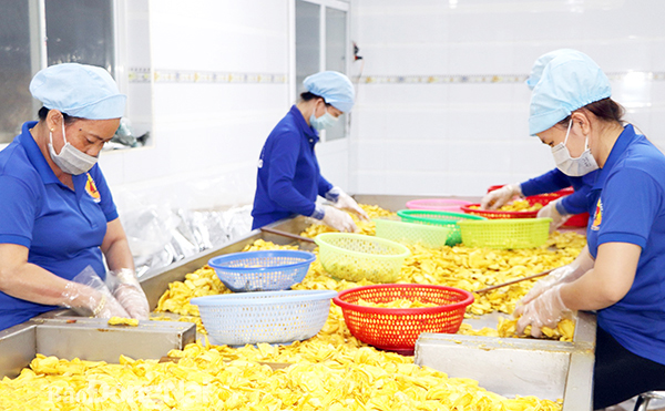 Đồng Nai mời gọi doanh nghiệp tham gia vào chế biến sâu nông sản Trong ảnh: Sản xuất mít sấy ở Công ty TNHH Thuận Hương (H.Định Quán). Ảnh NGọc Liên