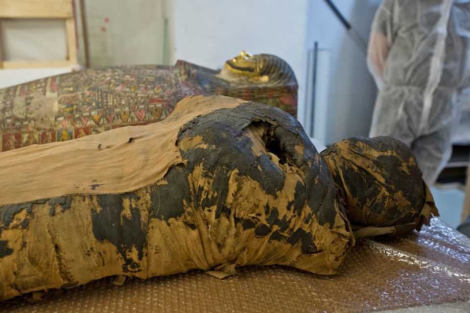 A pregnant Egyptian mummy is seen in this undated handout photo.