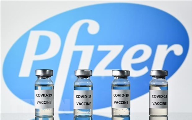 Vietnam to get 31 million Pfizer vaccine doses in Q3, Q4 . - Illustrative image (Source: VNA)